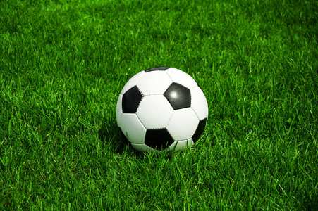 手机捷报比分足球即时比分专业团队